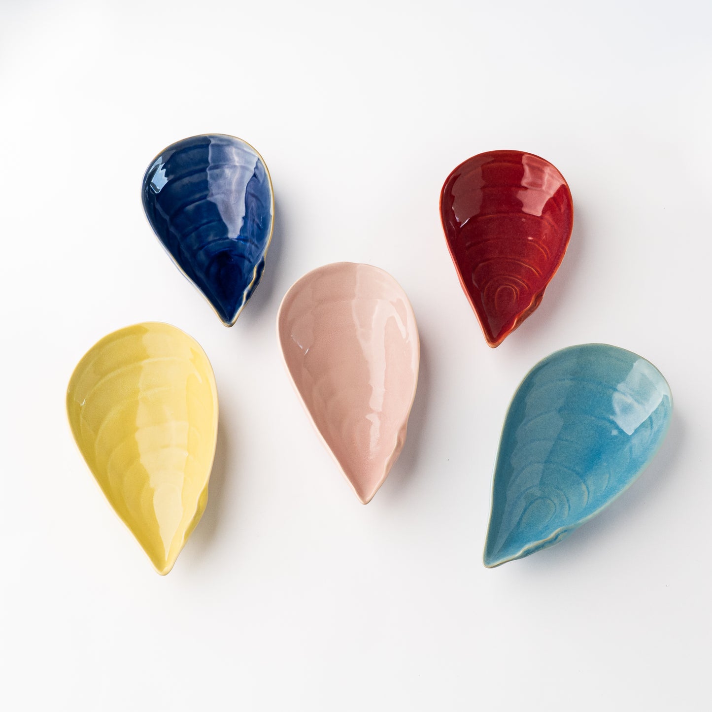 Mussel Seashell Bowl 19cm