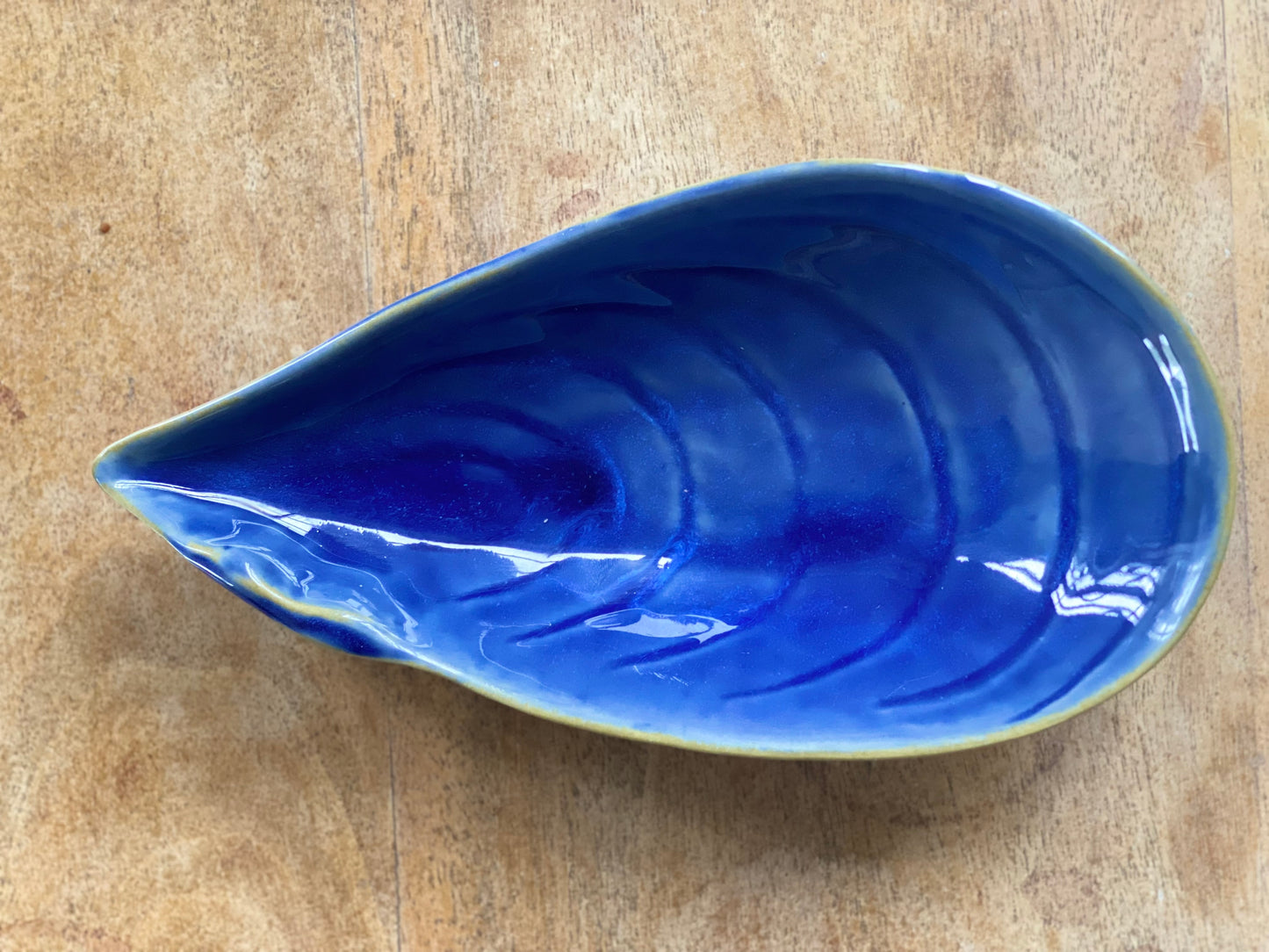 Mussel Seashell Bowl 19cm