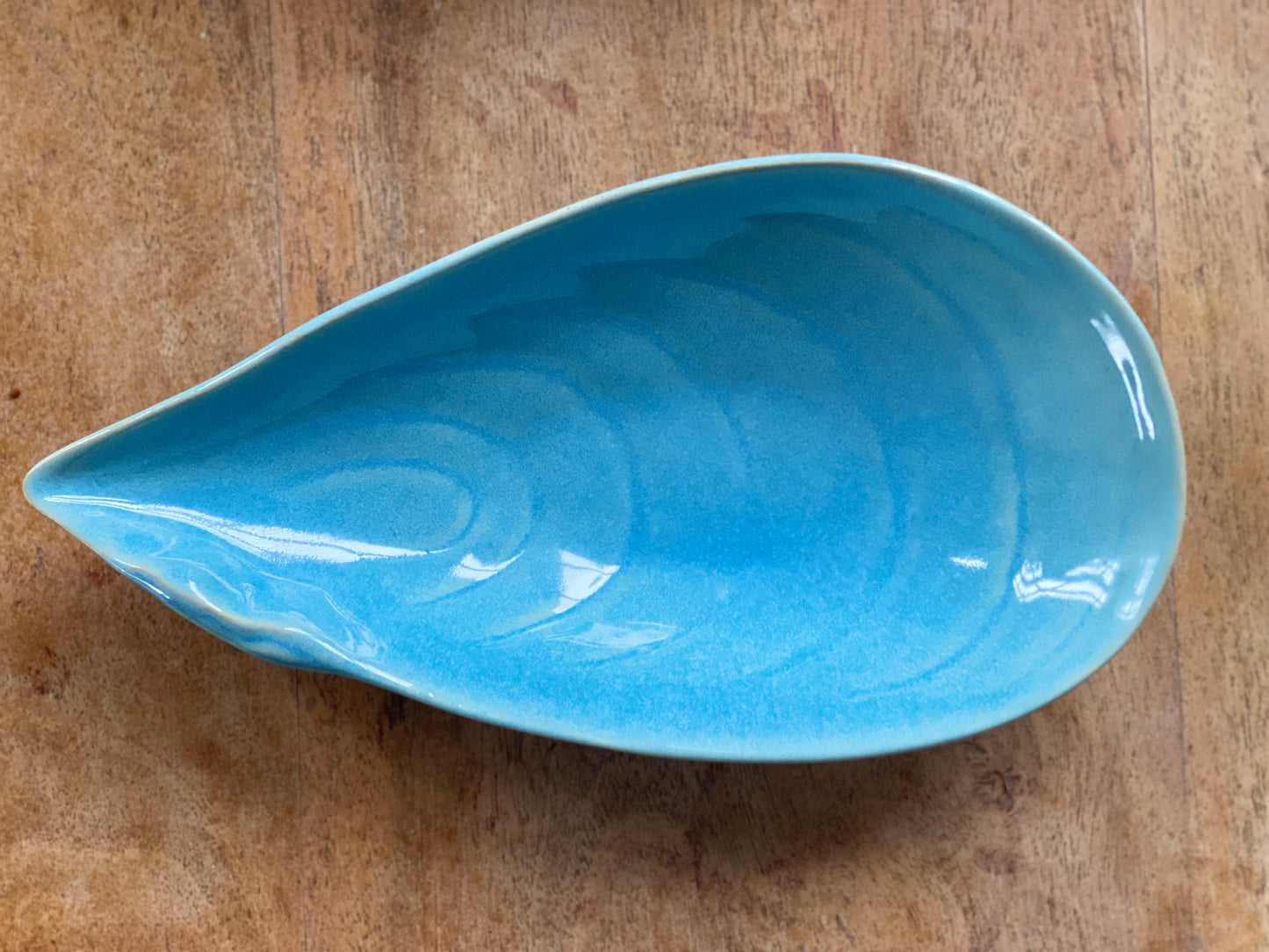 Mussel Seashell Bowl 19cm