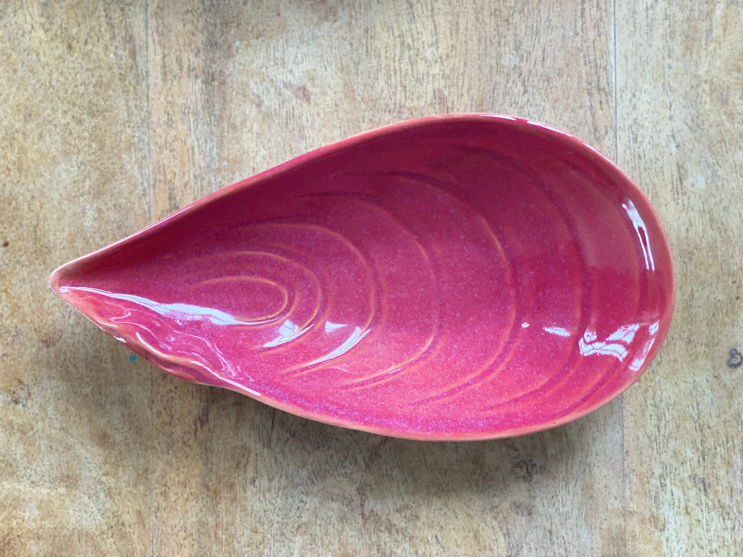 Mussel Seashell Bowl 19cm