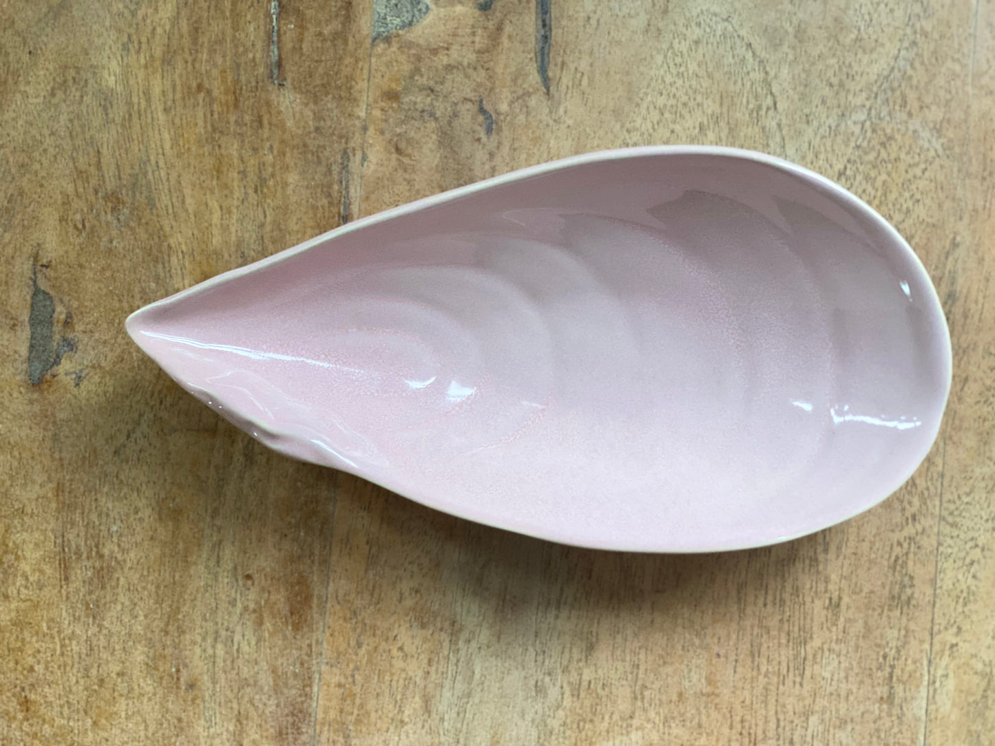 Mussel Seashell Bowl 19cm