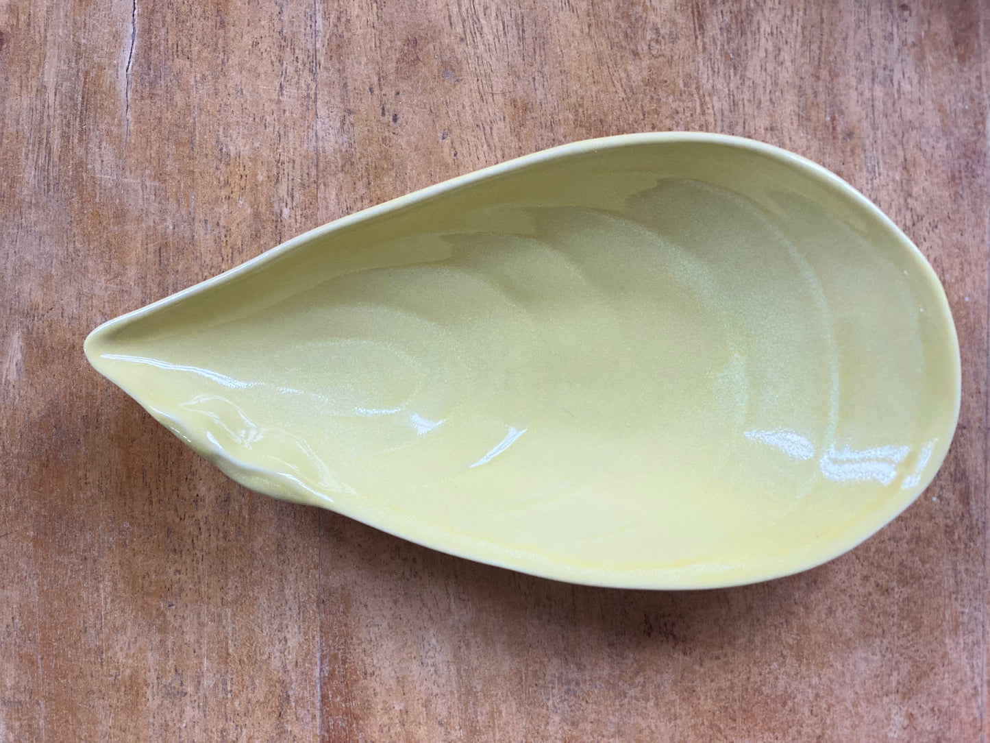 Mussel Seashell Bowl 19cm