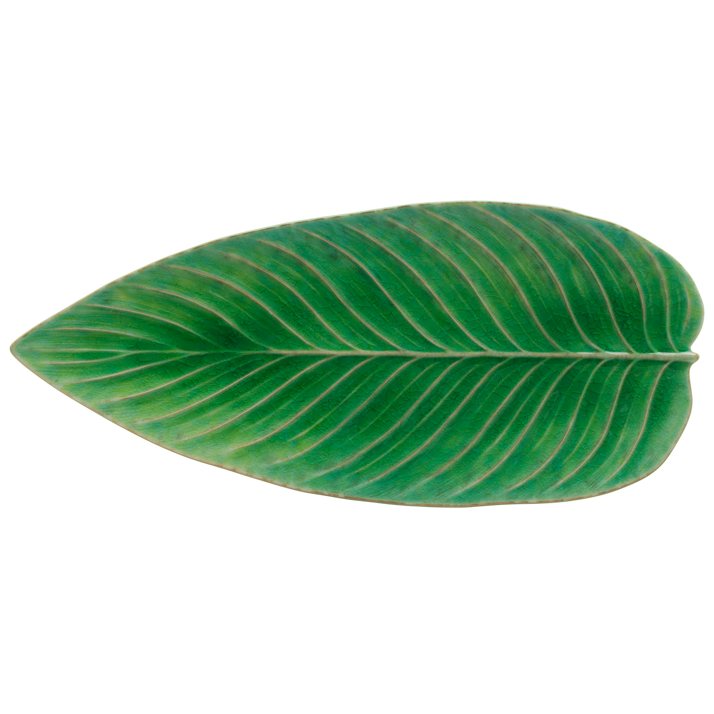 Riviera Tomate Strelizia Leaf 40cm